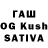 Галлюциногенные грибы Psilocybine cubensis Zarema Erdal