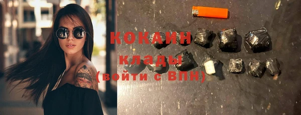 индика Янаул