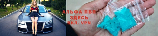 стаф Сибай