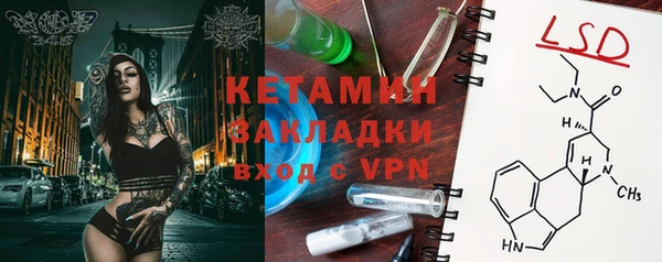 индика Янаул