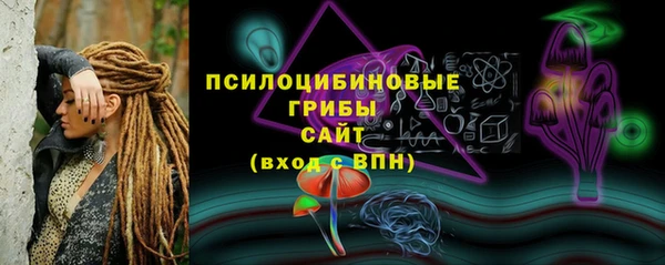 индика Янаул