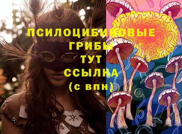 стаф Сибай
